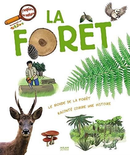 La Forêt - La vie de la forêt racontée comme une histoire