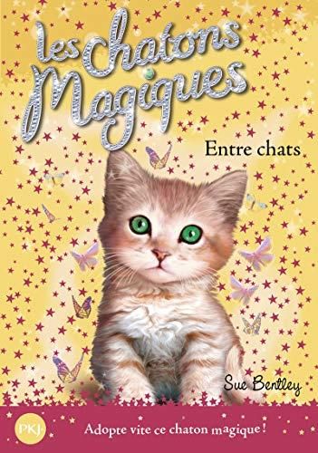 Les Chatons magiques Entre chats (3)